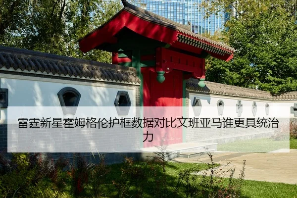 雷霆新星霍姆格伦护框数据对比文班亚马谁更具统治力