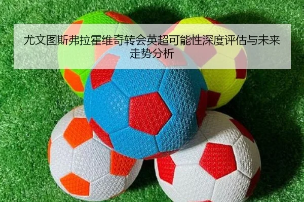 尤文图斯弗拉霍维奇转会英超可能性深度评估与未来走势分析