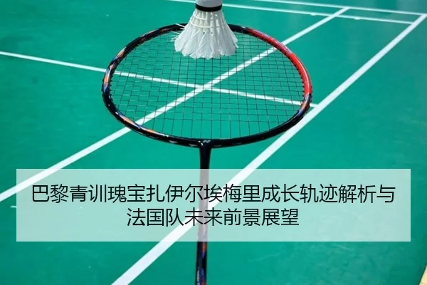 巴黎青训瑰宝扎伊尔埃梅里成长轨迹解析与法国队未来前景展望